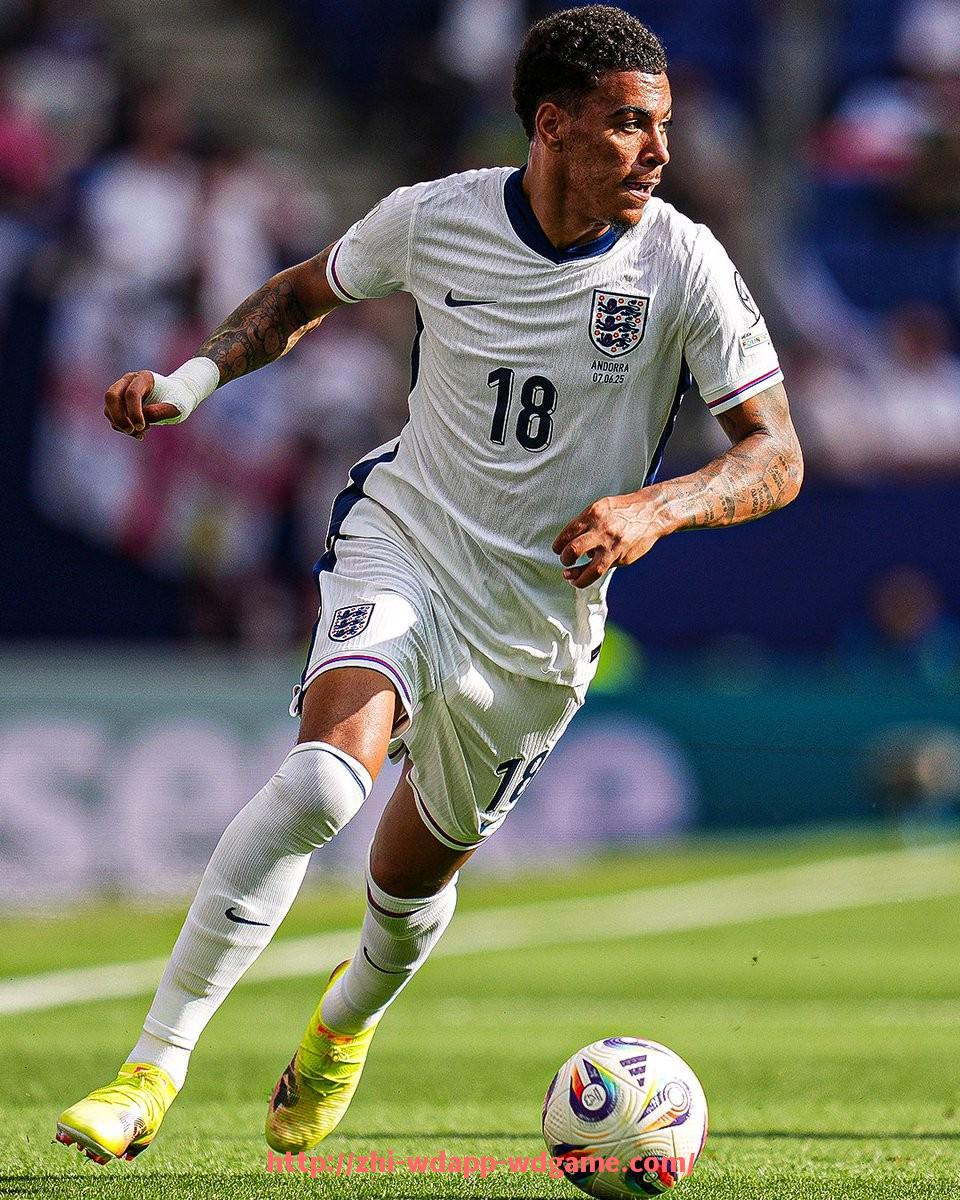 问鼎娱乐官网-西甲联赛全球粉丝数量与地域分布