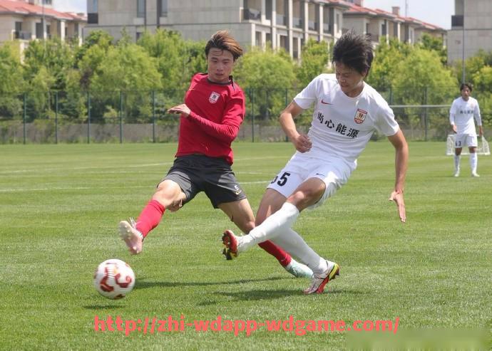 问鼎娱乐官网-上海队和火箭队历史对战回顾及赛果分析