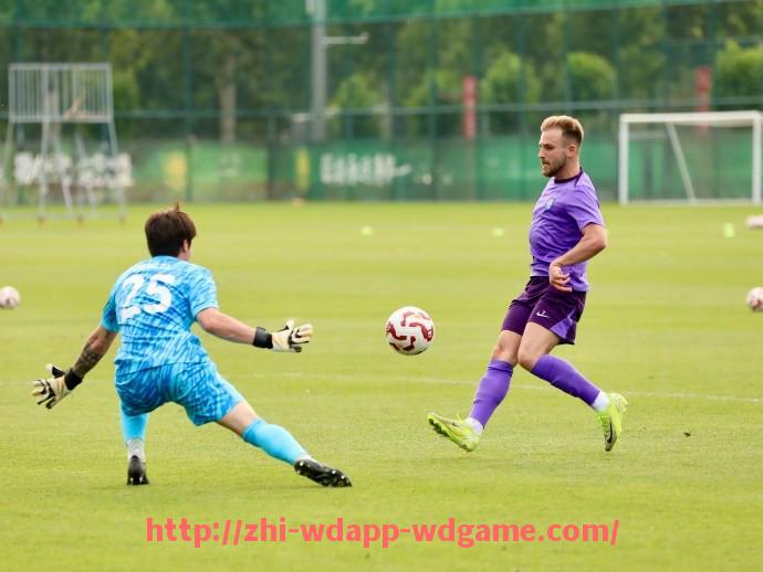 问鼎娱乐官网-法甲赛场上最精彩的助攻瞬间合集